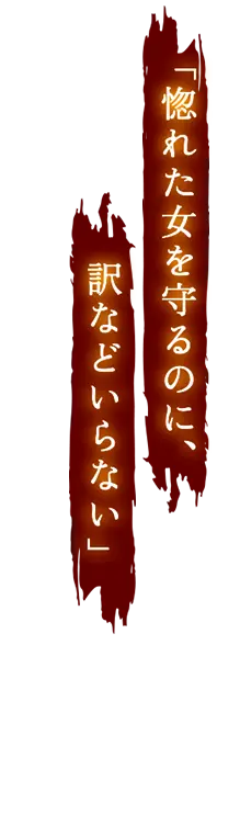 惚れた女を守るのに、訳などいらない