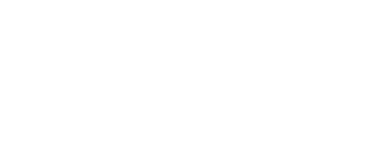 その大火をくいとめた火消侍を人はこう呼んだ 火喰鳥