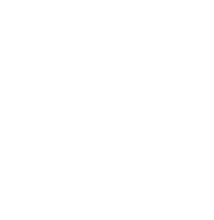 かつて「火喰鳥」と呼ばれた江戸随一の火消侍・松永源吾。訳あって火消を辞めていたが、突然新庄藩から仕官の誘いが来る。妻・深雪の後押しもあり、源吾は頭取として崩壊した火消組を再建することに。一癖も二癖もある仲間を集め、<ぼろ鳶>と揶揄されながらも「どんな命も救うのだ」と奮闘する源吾達だったが、江戸では「狐火」という謎の連続不審火が続いていた。迫りくる災いに、諦めの悪い火消達が奔走する、エンタメ活劇が開幕!